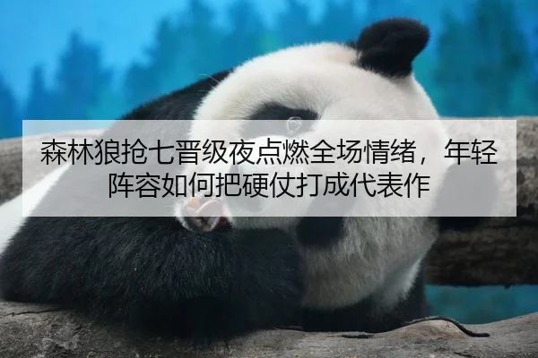 森林狼抢七晋级夜点燃全场情绪，年轻阵容如何把硬仗打成代表作